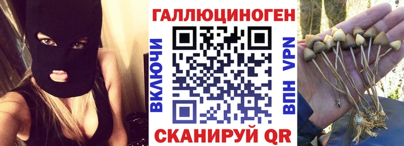 OMG вход  Северодвинск  Псилоцибиновые грибы мицелий  купить  